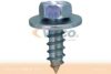 VAICO V10-2021 Screw